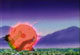 Smashed by a flaming planet? oO